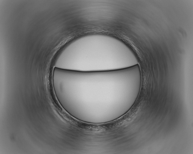 X0000112980443200908270922
