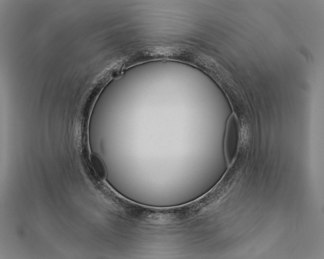 X0000112980444200908270922
