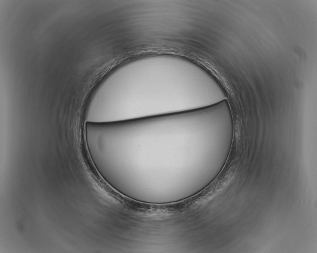 X0000112980445200908270922