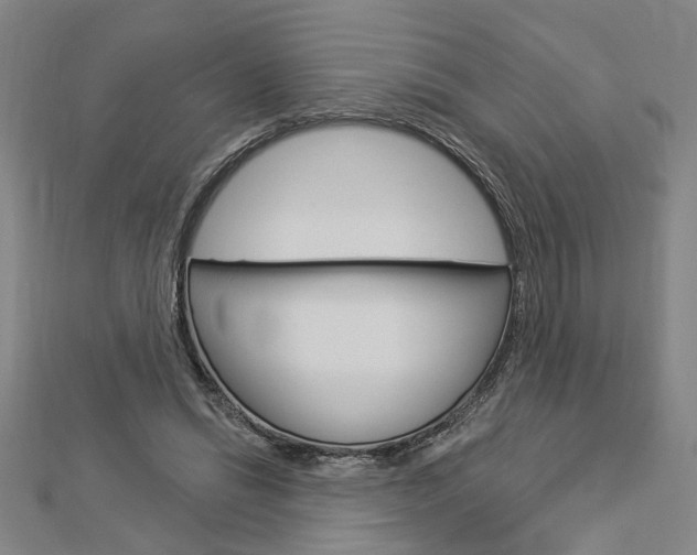 X0000112980446200908270922