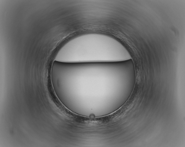 X0000112980448200908270922