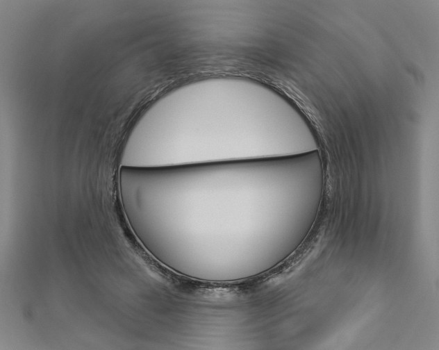 X0000112980449200908270922
