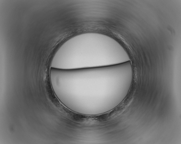 X0000112980451200908270922
