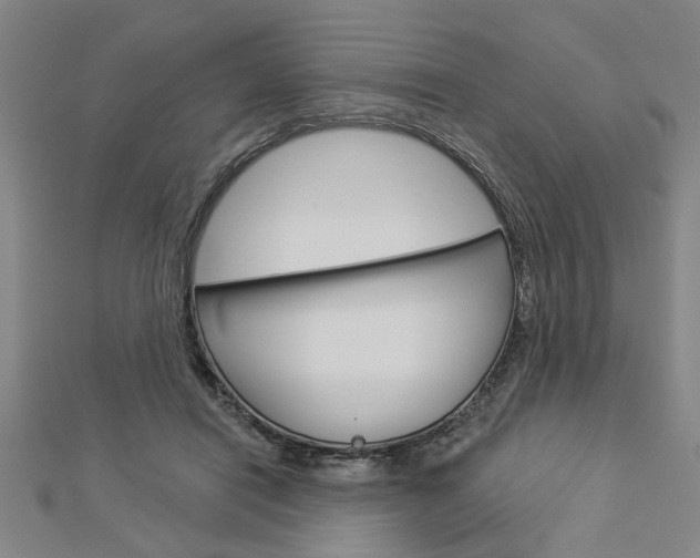 X0000112980454200908270922