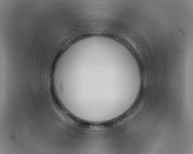 X0000112980455200908270922