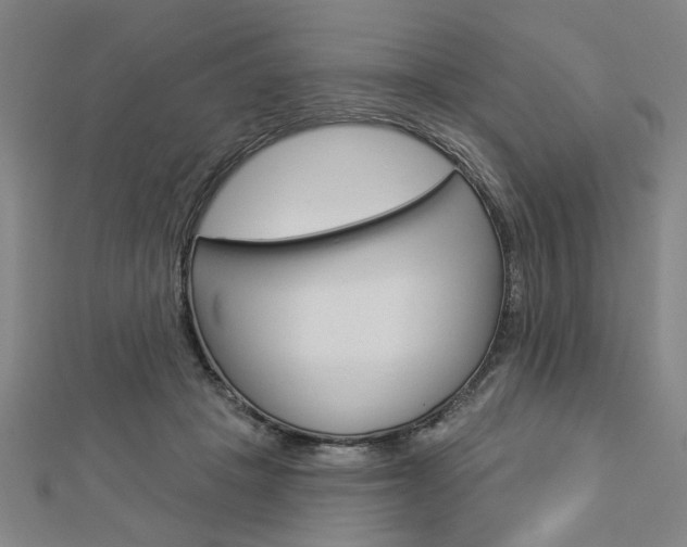X0000112980457200908270922