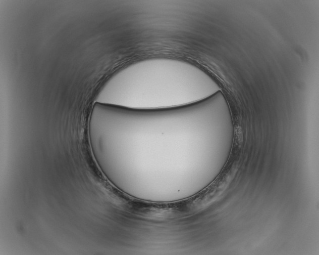 X0000112980458200908270922