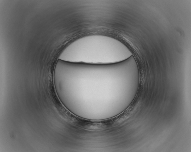 X0000112980459200908270922