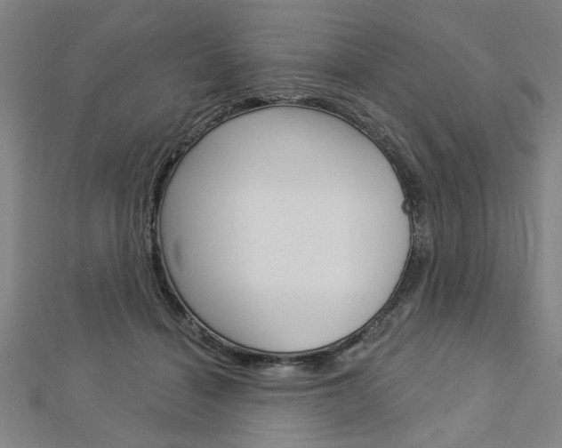 X0000112980460200908270922