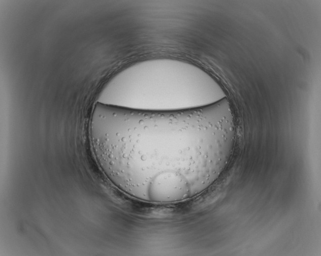 X0000112980462200908270922