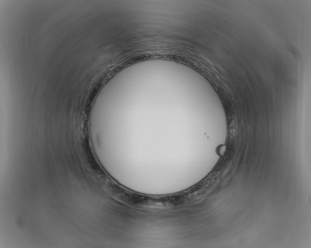 X0000112980464200908270922