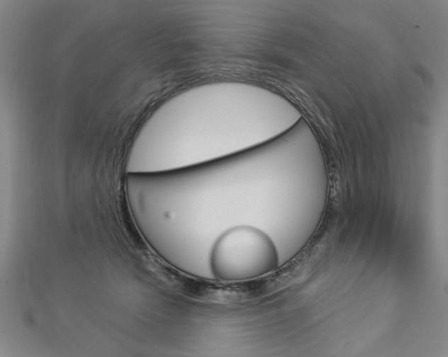X0000112980466200908270922