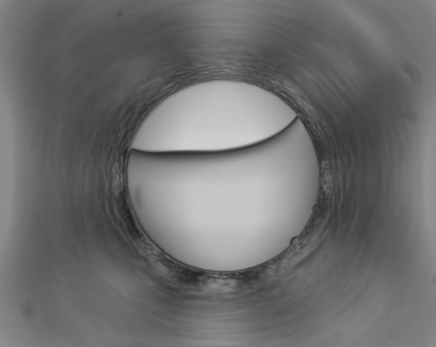X0000112980471200908270922