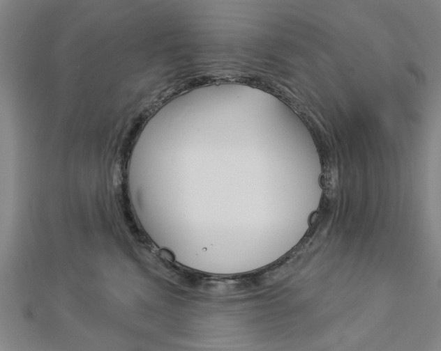X0000112980472200908270922