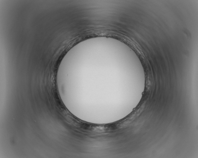 X0000112980473200908270922