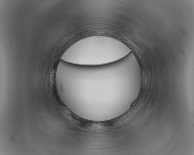 X0000112980475200908270922