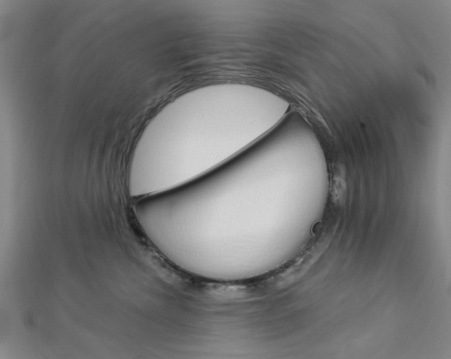 X0000112980476200908270922