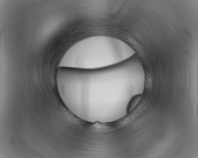 X0000112980477200908270922