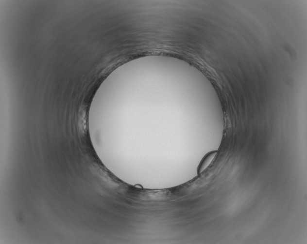 X0000112980479200908270922