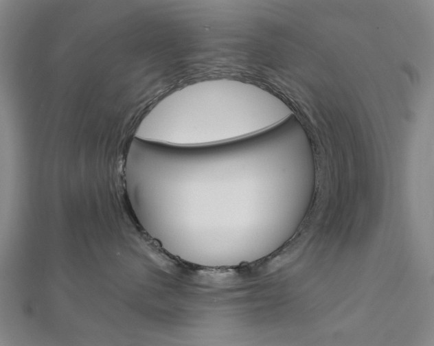 X0000112980480200908270922