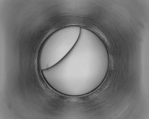 X0000112980482200908270922