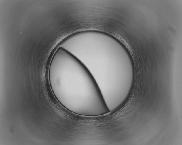 X0000112980483200908270922