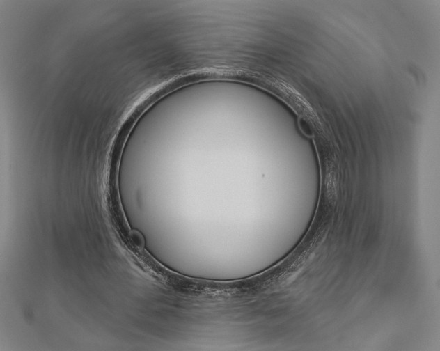 X0000112980484200908270922