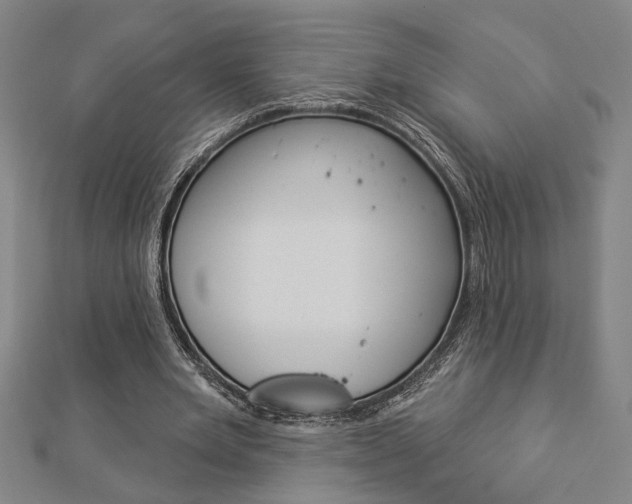 X0000112980485200908270922