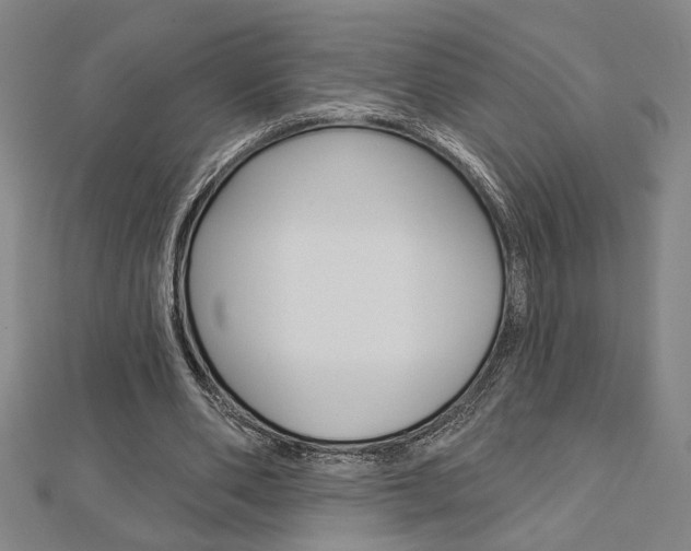 X0000112980486200908270921