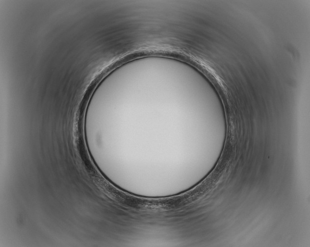 X0000112980487200908270921