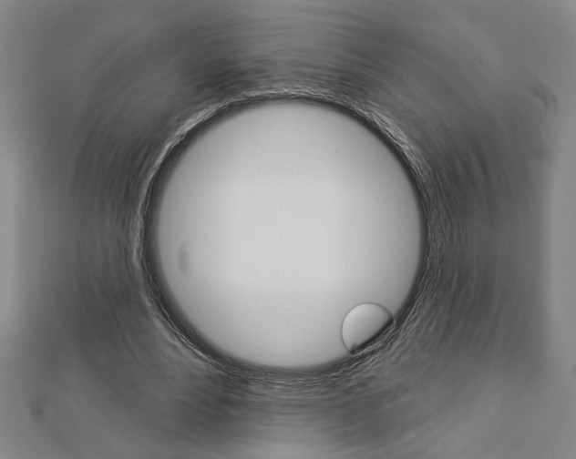 X0000112980488200908270921