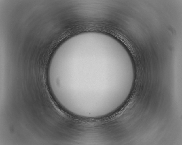 X0000112980489200908270921