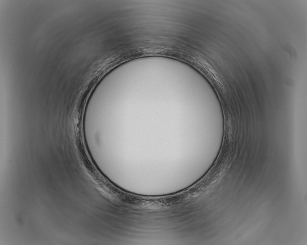 X0000112980490200908270921