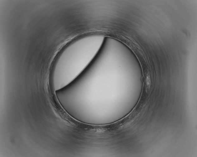 X0000112980492200908270921