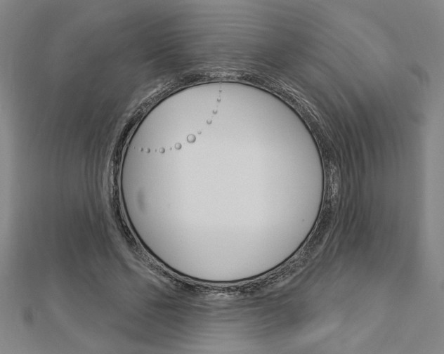 X0000112980494200908270921