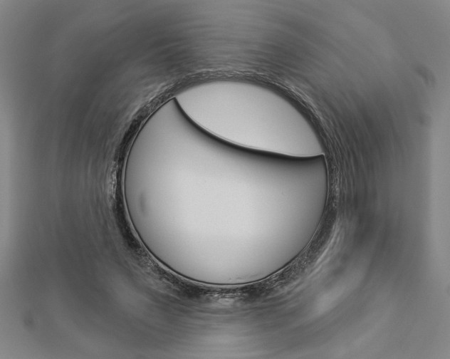 X0000112980495200908270921