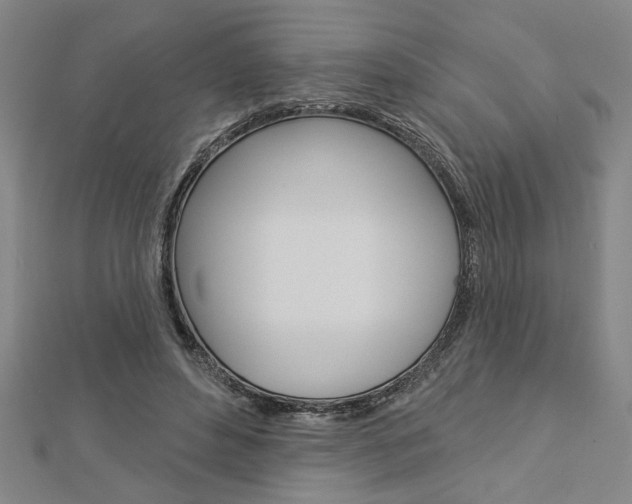 X0000112980496200908270921