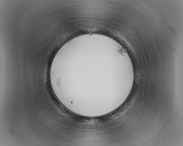 X0000112980497200908270921