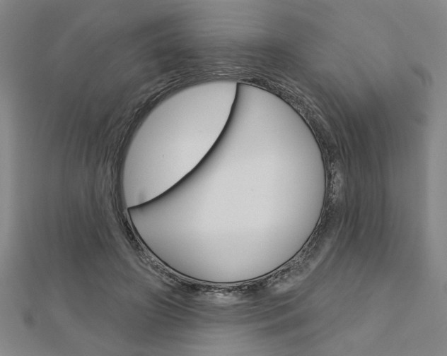 X0000112980498200908270921