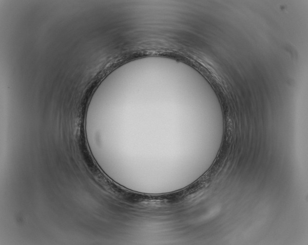 X0000112980499200908270921
