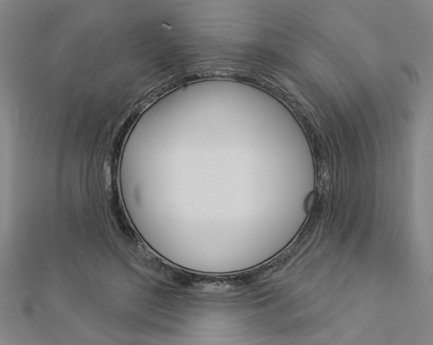 X0000112980500200908270921