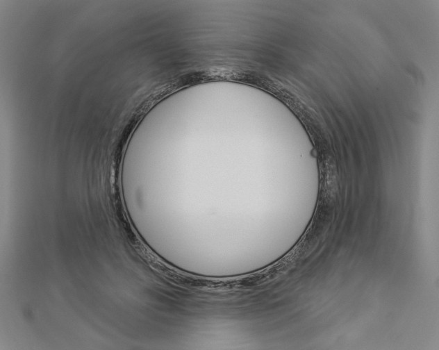 X0000112980502200908270921