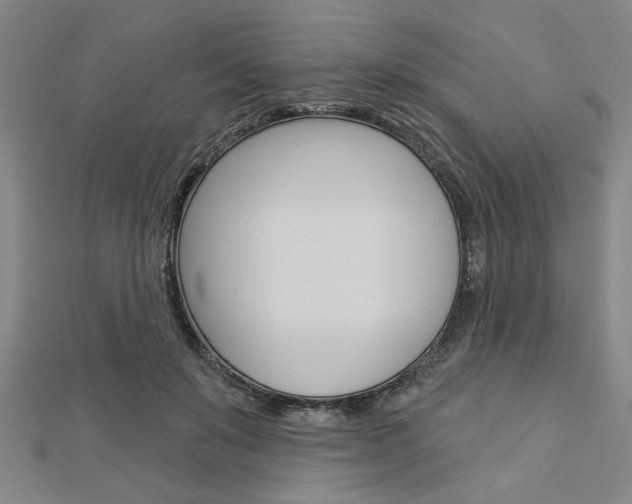 X0000112980503200908270921