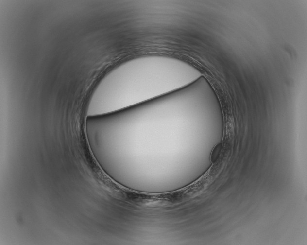 X0000112980504200908270921