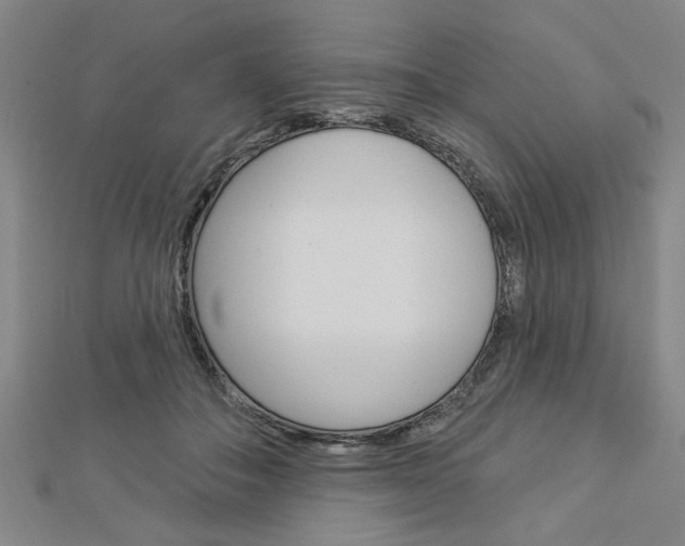 X0000112980506200908270921