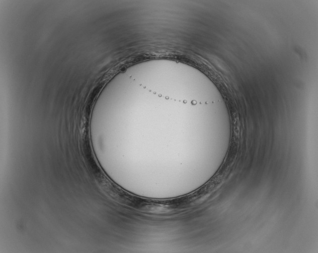 X0000112980507200908270921