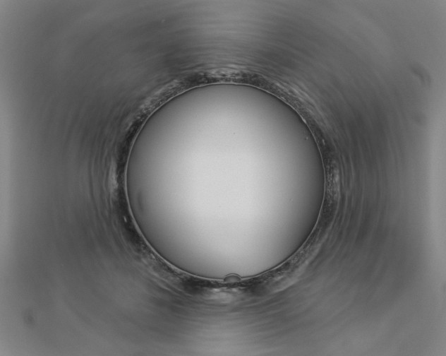 X0000112980508200908270921