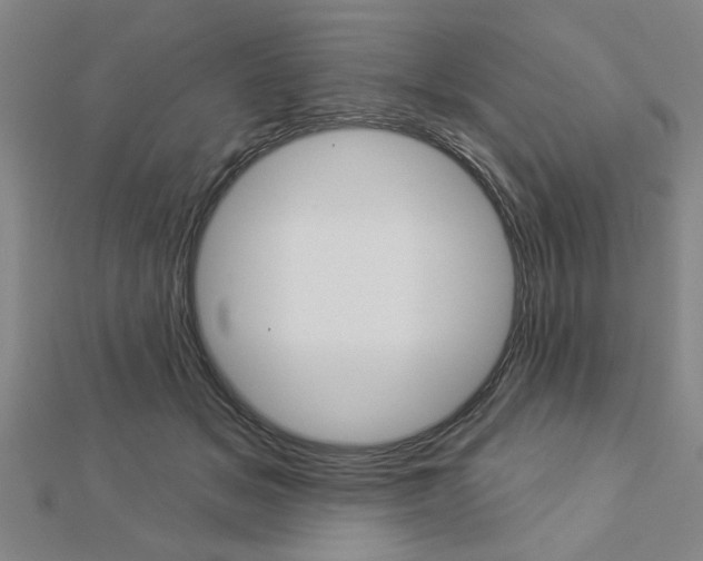 X0000112980509200908270921