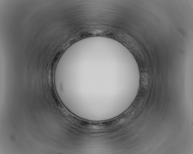 X0000112980510200908270921