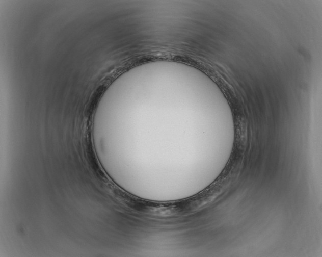 X0000112980511200908270921